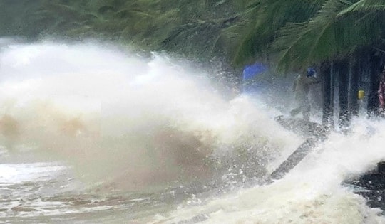 Biển Đông đón bão số 4 có tên là Cỏ may