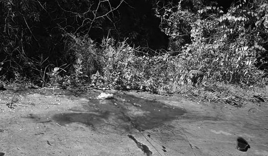 Thiếu niên 14 tuổi bị bạn đâm tử vong