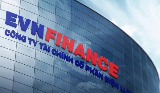 Thanh tra yêu cầu EVNFinance và EVNFinance Đà Nẵng thực hiện khắc phục tồn tại, hạn chế