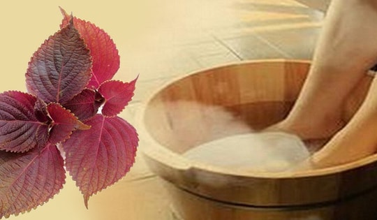 4 cách sử dụng nước lá tía tô tốt nhất cho sức khỏe