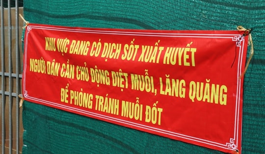 TPHCM triển khai nền tảng số giám sát ca bệnh, chủ động ứng phó sốt xuất huyết