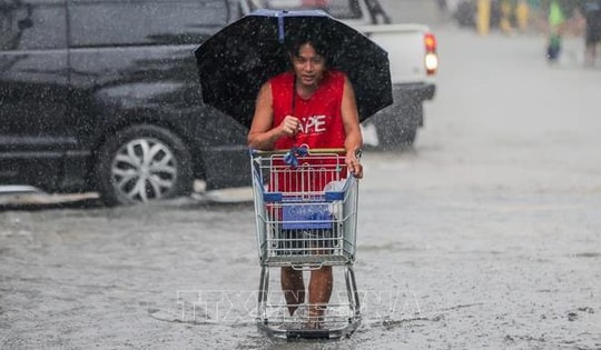 Philippines đóng cửa trường học, dừng hàng loạt chuyến bay khi bão Cỏ may áp sát