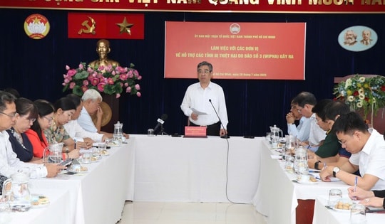 TPHCM huy động lực lượng y tế hỗ trợ Nghệ An, Đồng Tháp khắc phục hậu quả thiên tai