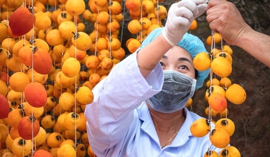 Lâm Đồng là nguồn cung rau xanh, thịt và thủy sản an toàn chủ lực cho TPHCM