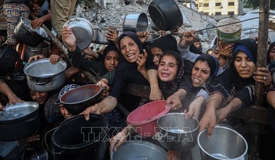 Xung đột Hamas - Israel: Hàng chục nghìn người ở Gaza suy dinh dưỡng nghiêm trọng