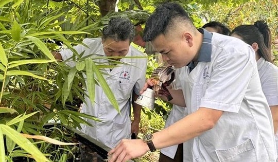 Thanh Hóa: Giám sát chặt chẽ các bệnh truyền nhiễm trong mùa hè