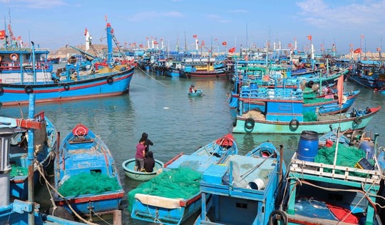 Mất tiền triệu mỗi lần cập cảng, ngư dân Khánh Hòa chờ được 'giải cứu'