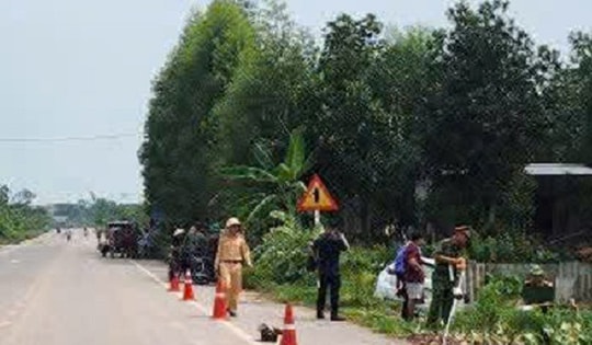 Ô tô mất lái lao xuống ruộng đâm cụ bà đang làm đồng tử vong