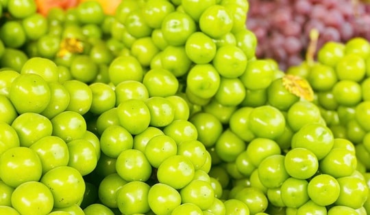 Nho sữa Trung Quốc bán khắp thị trường, giá rẻ như nho thường chỉ vài chục nghìn đồng/kg