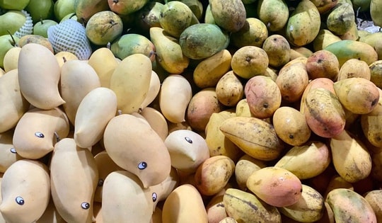 Tiểu thương tiết lộ về nguồn gốc của loại xoài vàng ươm, thơm nức đang bán đầy chợ Việt