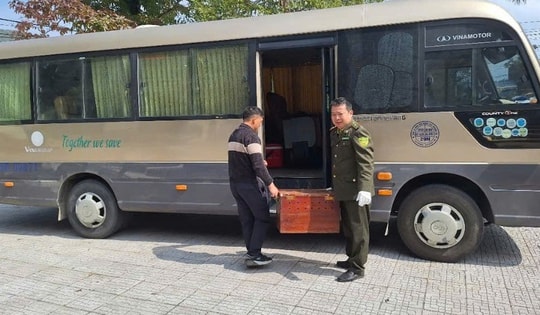 Rùa núi vàng, khỉ mặt đỏ cùng hàng loạt động vật quý hiếm được người dân giao nộp