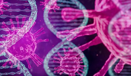 Phát hiện mới về virus bạch cầu và tiềm năng điều trị HIV