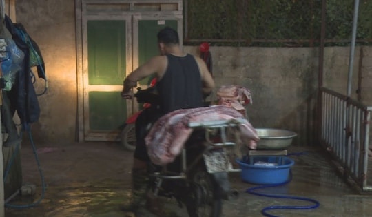 Cần siết chặt cơ sở giết mổ để phòng dịch tả lợn châu Phi lây lan