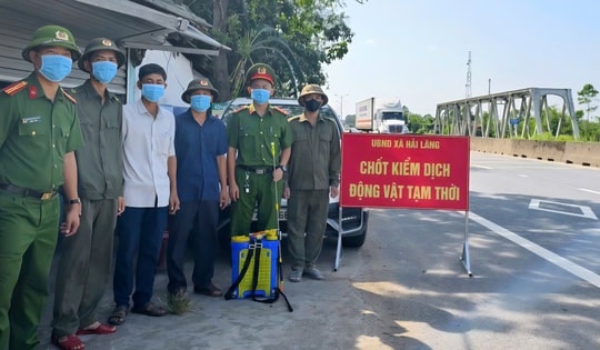 Dịch tả lợn châu Phi bùng phát, Quảng Trị siết chặt việc giết mổ, vận chuyển