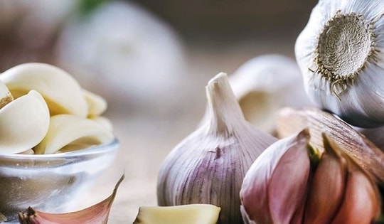 Tác dụng chữa bệnh của 7 loại thảo mộc phổ biến