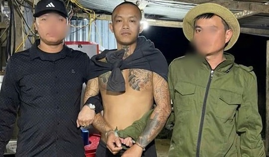 Bắt giữ đối tượng truy nã nguy hiểm khi đang lẩn trốn tại khu vực bãi vàng