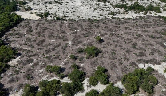 Thông tin mới vụ rừng phòng hộ ven biển ở Huế bị chặt hạ