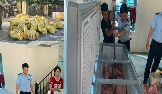 Mua hơn 1,6 tấn lợn nhiễm dịch tả lợn châu Phi để bán