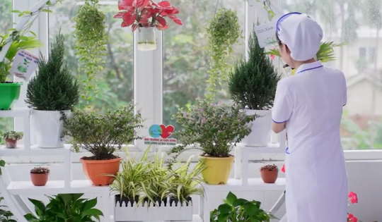 Cuộc thi 'Cơ sở y tế Xanh - Sạch - Đẹp' lần thứ I: Nỗ lực bền bỉ để hái quả ngọt