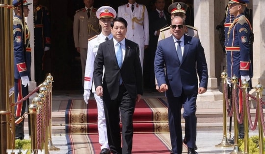 Truyền thông Ai Cập đánh giá cao chuyến thăm của Chủ tịch nước Lương Cường