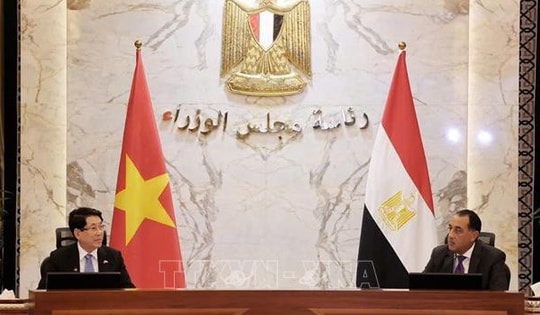 Nhất trí đẩy mạnh hợp tác kinh tế Việt Nam - Ai Cập theo hướng bền vững, cùng có lợi