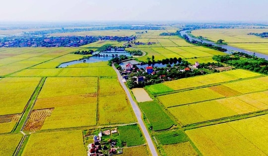 Trường hợp được miễn giảm tiền sử dụng đất, tiền thuê đất từ 1/10/2025