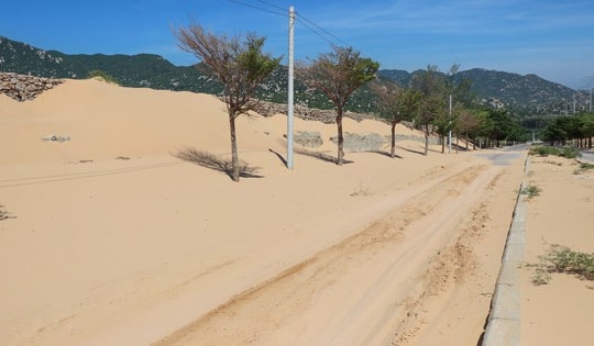 'Núi cát' tràn ra giữa đường ven biển ở Khánh Hoà