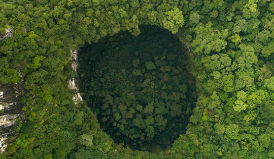 Khu rừng nguyên sinh đầy bí ẩn dưới lòng đất