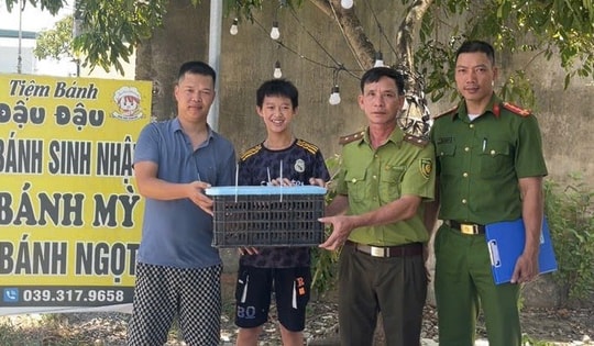 Nam thanh niên Hưng Yên bất ngờ bắt được cá thể động vật quý hiếm trên mái tôn