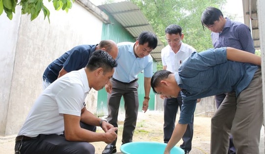 Hà Tĩnh ghi nhận thêm ổ dịch sốt xuất huyết