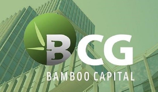 Thành viên độc lập Hội đồng quản trị 'tháo chạy' khỏi Bamboo Capital