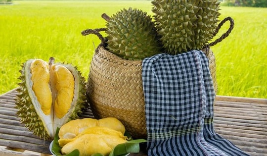 Xây dựng tiêu chuẩn quốc gia cho sầu riêng quả tươi