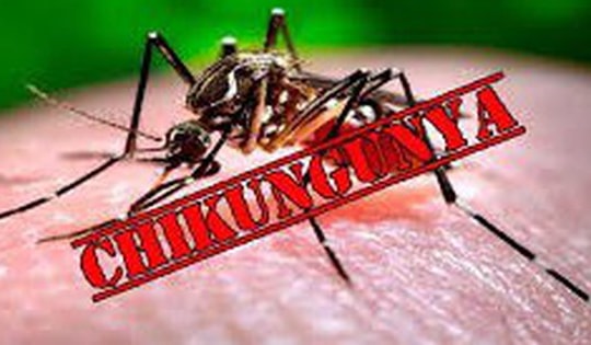 PGS.TS Trần Đắc Phu: Dịch bệnh Chikungunya không chủ quan, nhưng cũng không quá hoang mang