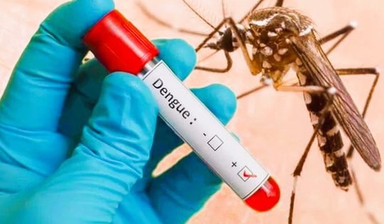 Bộ Y tế: Xử lý triệt để các ổ dịch sốt xuất huyết, không để dịch bùng phát, lan rộng