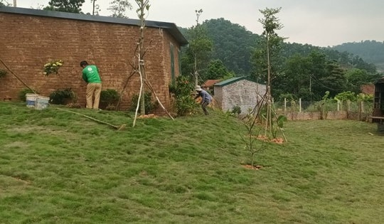 Vi phạm quản lý khiến hơn 610.000m2 đất rừng tại Sóc Sơn, Hà Nội bị chuyển nhượng trái phép