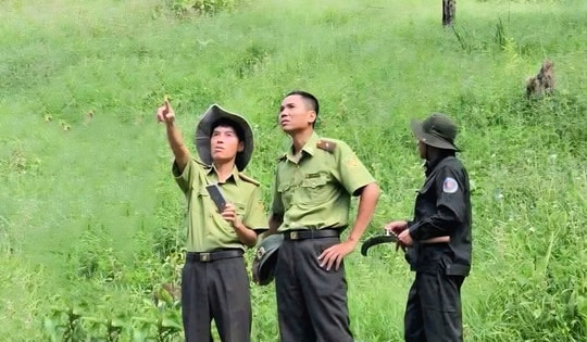 Dùng flycam bảo vệ 'lá phổi xanh' trong mùa nắng nóng