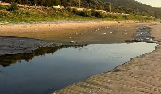 Lâm Đồng chỉ đạo xác minh khẩn vụ nước thải đen ngòm chảy ra biển Mũi Né