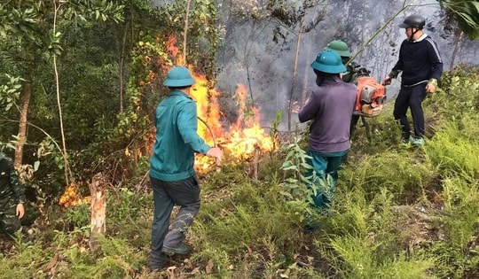 Hàng trăm người đang chữa cháy rừng do sét đánh