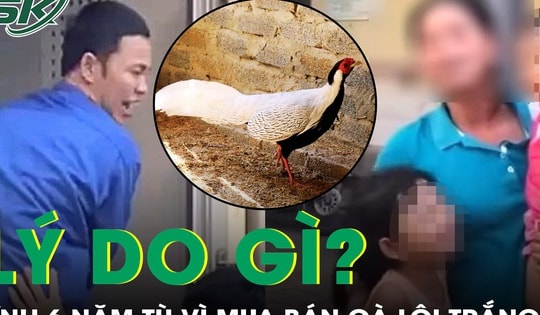 Lý do gì khiến người đàn ông lĩnh án 6 năm tù vì mua bán gà lôi trắng?
