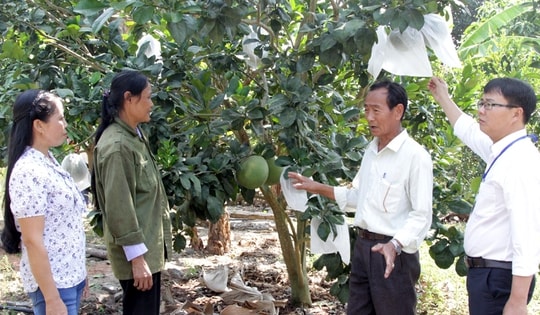 Khánh Hòa: Người đàn ông 'dựng cơ nghiệp' từ 50 triệu đồng vốn chính sách