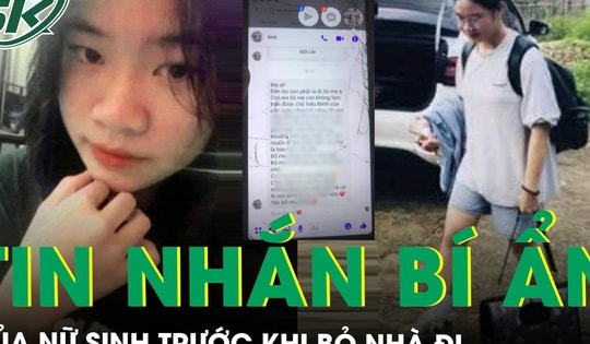 Hé lộ dòng tin nhắn bí ẩn và cuộc gọi cuối cùng của nữ sinh 18 tuổi bỏ nhà đi cùng 2 con mèo