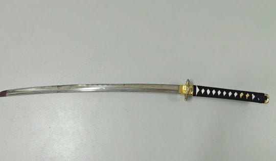 Mâu thuẫn gia đình, nam thanh niên dùng kiếm chém anh họ