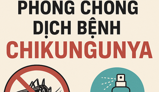 Hải Phòng lên phương án phòng, chống dịch bệnh Chikungunya
