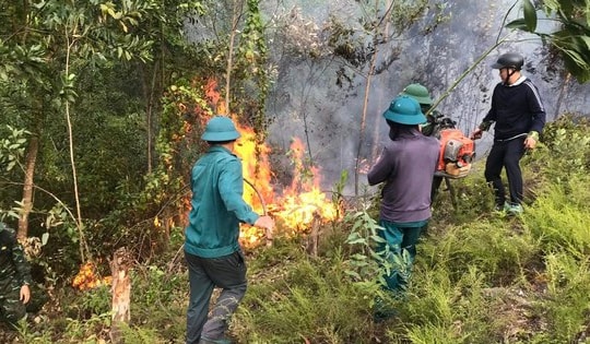 Nghệ An: Ứng trực 24/24 giờ phòng cháy rừng giữa cao điểm nắng nóng cực đoan