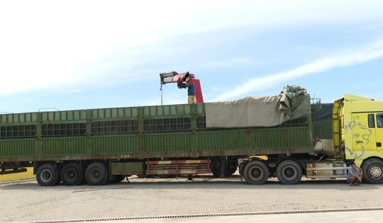 Phạt 333 triệu đồng tài xế và chủ hàng chở vượt quá tải trọng 429%