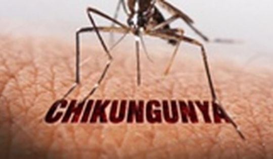Trung Quốc phát hiện thêm các ca bệnh Chikungunya
