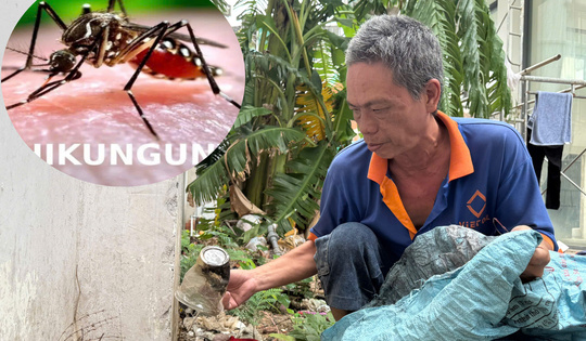 TPHCM giám sát 24/24 tại cửa khẩu và triển khai loạt biện pháp phòng Chikungunya, sốt xuất huyết