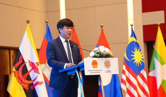 91.000 tỷ đồng thiệt hại năm 2024, cảnh báo sức tàn phá của thiên tai tại Việt Nam