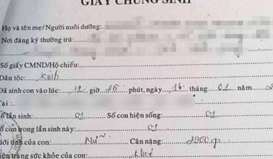 Bộ Y tế chấn chính việc cấp và sử dụng giấy chứng sinh, phòng tình trạng lợi dụng mua bán trẻ em