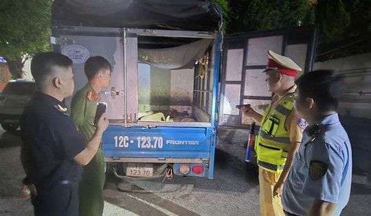 Cao điểm dịch tả lợn châu Phi, tiểu thương lén lút tiêu thụ lợn hơi, thực phẩm đông lạnh giữa đêm